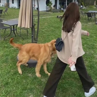 房车奇遇